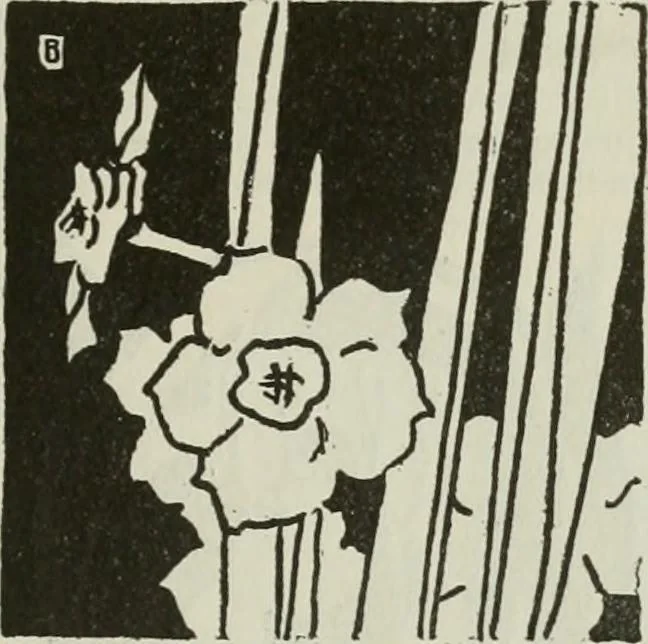 An illustration from The craftsman, 1901, leaf 208