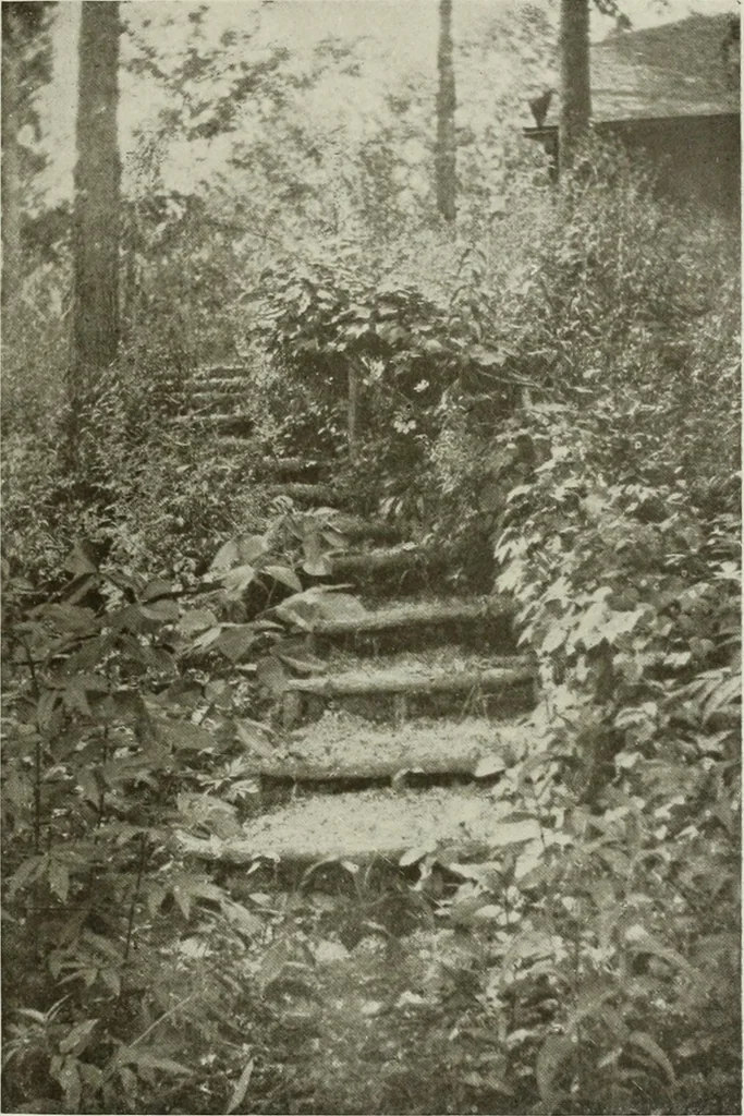 An illustration from The craftsman, 1901, leaf 286
