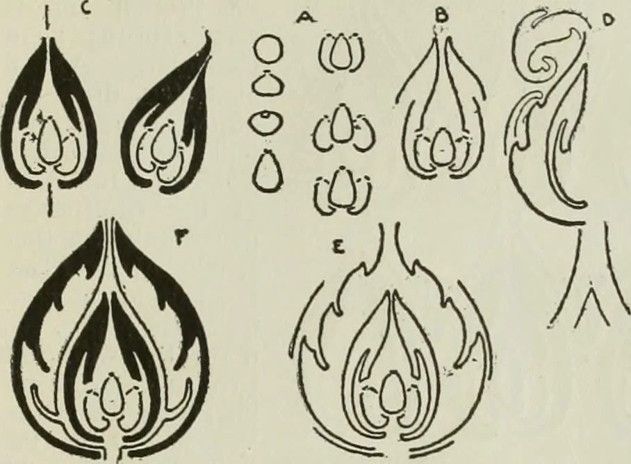 An illustration from The craftsman, 1901, leaf 316