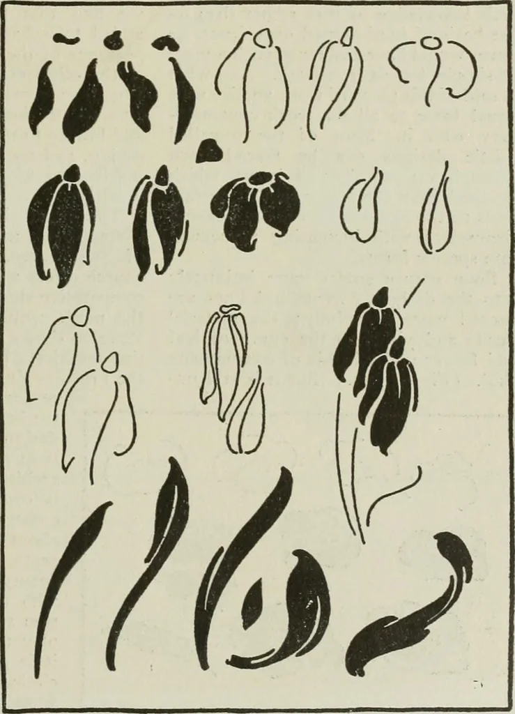 An illustration from The craftsman, 1901, leaf 98