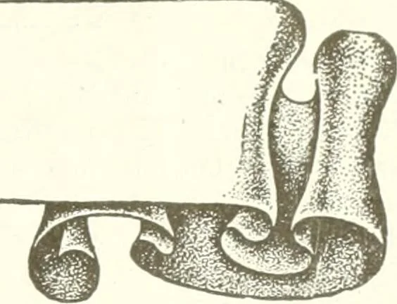 An illustration from Canadian textile journal, 1908, leaf 26