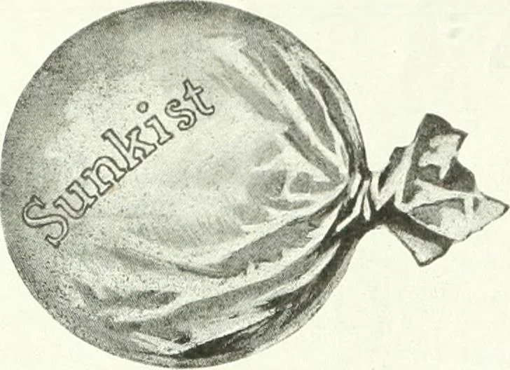 An illustration from Canadian textile journal, 1908, leaf 49