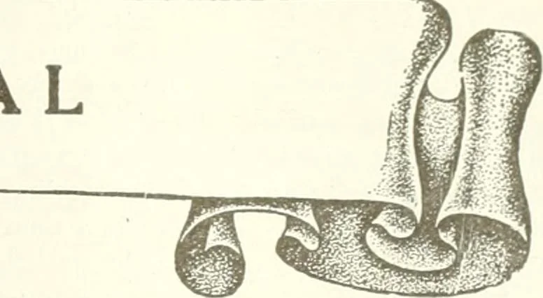 An illustration from Canadian textile journal, 1908, leaf 28