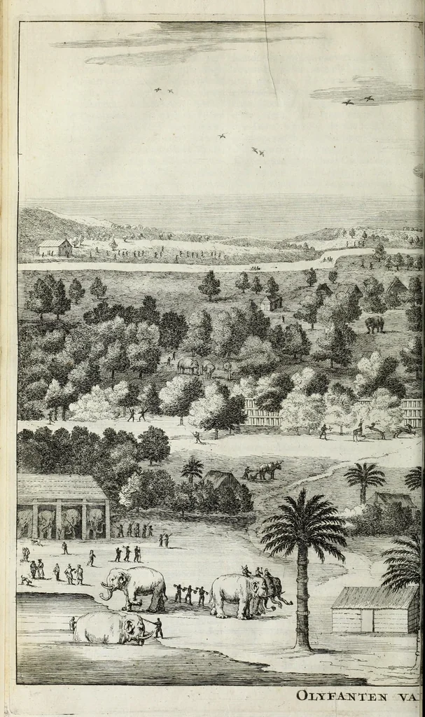 An illustration from Naauwkeurige beschryvinge van Malabar en Choromandel, der zelver aangrenzende ryken, en het machtige eyland Ceylon : nevens een omstandige en grondigh doorzochte ontdekking en wederlegginge van de afgoderye der Oost-Indische heydenen ..., 1672, leaf 560