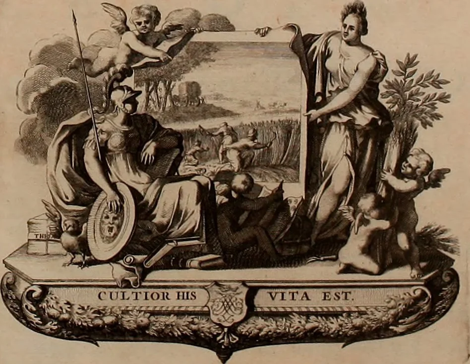 An illustration from Naauwkeurige beschryving der aardgewassen, waar in de veelerley aart en bijzondere eigenschappen der boomen, heesters, kruyden, bloemen, met haare vrugten, zaden, wortelen en bollen, neevens derzelver waare voort-teeling, gelukkige aanwinning, en heylzaame genees-krachten ... beschreeven worden;, 1696, leaf 10
