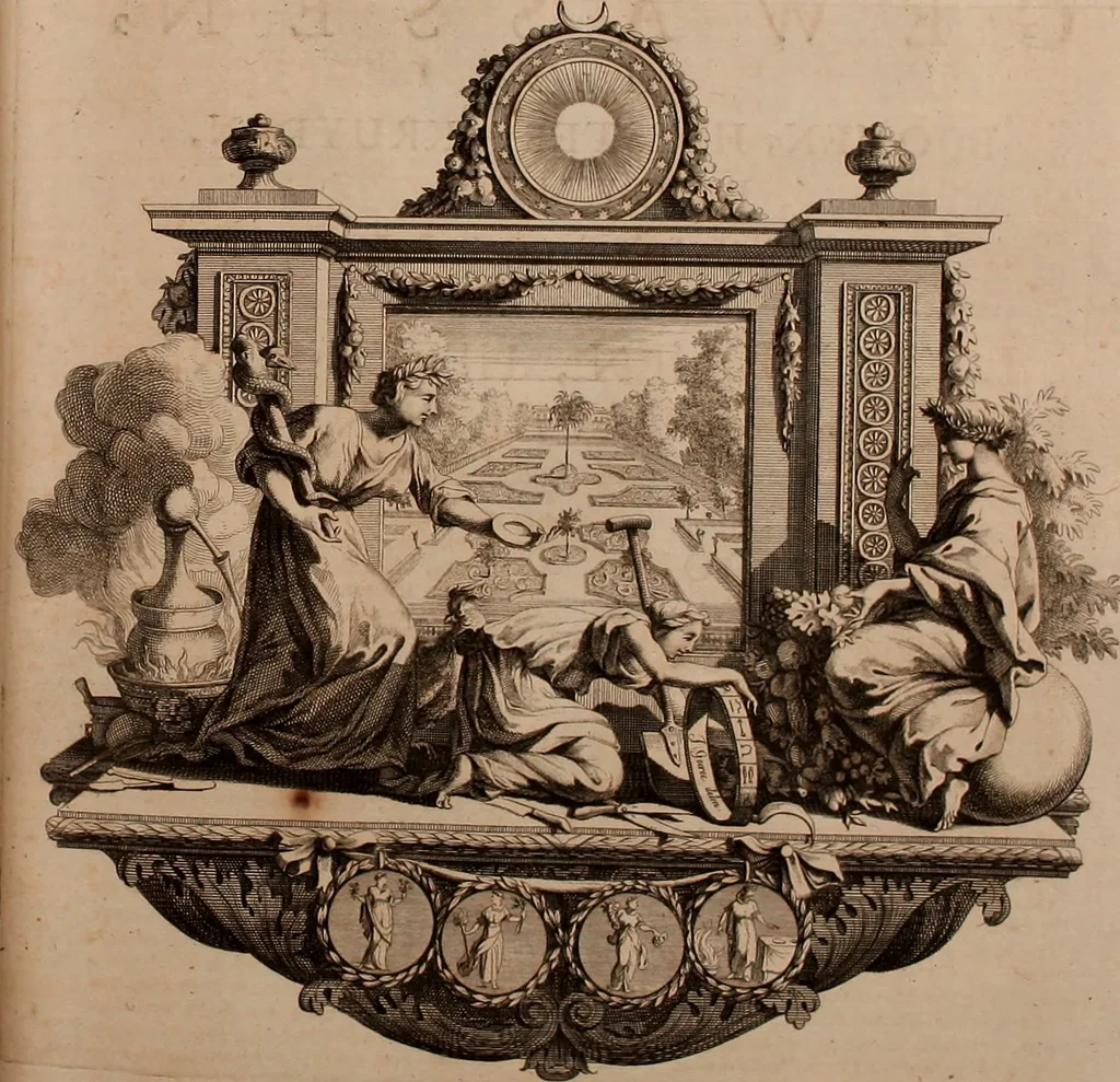 An illustration from Naauwkeurige beschryving der aardgewassen, waar in de veelerley aart en bijzondere eigenschappen der boomen, heesters, kruyden, bloemen, met haare vrugten, zaden, wortelen en bollen, neevens derzelver waare voort-teeling, gelukkige aanwinning, en heylzaame genees-krachten ... beschreeven worden;, 1696, leaf 162