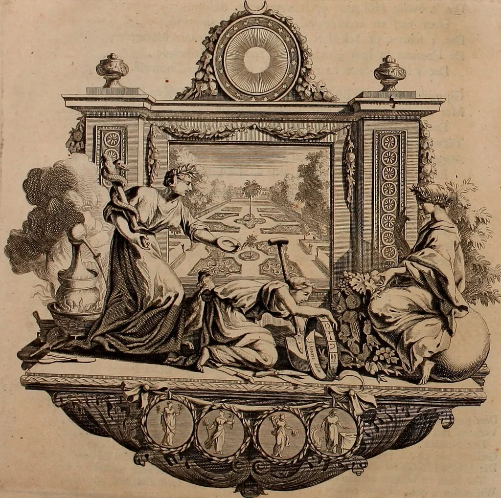 An illustration from Naauwkeurige beschryving der aardgewassen, waar in de veelerley aart en bijzondere eigenschappen der boomen, heesters, kruyden, bloemen, met haare vrugten, zaden, wortelen en bollen, neevens derzelver waare voort-teeling, gelukkige aanwinning, en heylzaame genees-krachten ... beschreeven worden;, 1696, leaf 25
