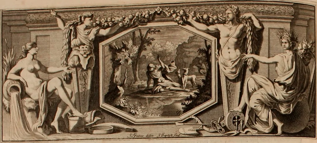 An illustration from Naauwkeurige beschryving der aardgewassen, waar in de veelerley aart en bijzondere eigenschappen der boomen, heesters, kruyden, bloemen, met haare vrugten, zaden, wortelen en bollen, neevens derzelver waare voort-teeling, gelukkige aanwinning, en heylzaame genees-krachten ... beschreeven worden;, 1696, leaf 307