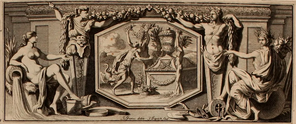 An illustration from Naauwkeurige beschryving der aardgewassen, waar in de veelerley aart en bijzondere eigenschappen der boomen, heesters, kruyden, bloemen, met haare vrugten, zaden, wortelen en bollen, neevens derzelver waare voort-teeling, gelukkige aanwinning, en heylzaame genees-krachten ... beschreeven worden;, 1696, leaf 46