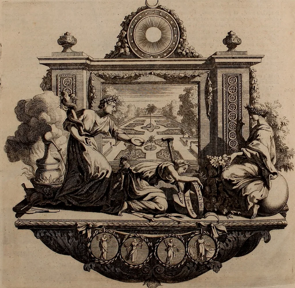 An illustration from Naauwkeurige beschryving der aardgewassen, waar in de veelerley aart en bijzondere eigenschappen der boomen, heesters, kruyden, bloemen, met haare vrugten, zaden, wortelen en bollen, neevens derzelver waare voort-teeling, gelukkige aanwinning, en heylzaame genees-krachten ... beschreeven worden;, 1696, leaf 723