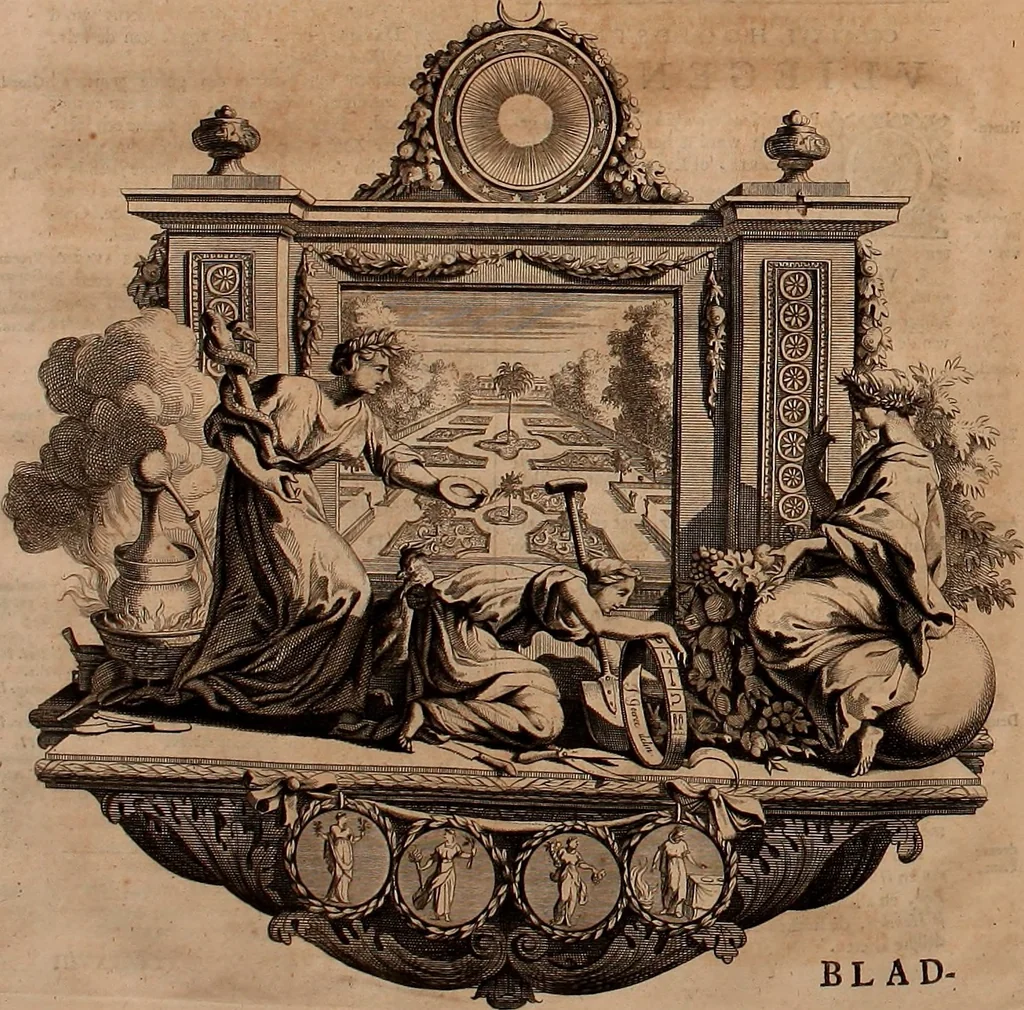 An illustration from Naauwkeurige beschryving der aardgewassen, waar in de veelerley aart en bijzondere eigenschappen der boomen, heesters, kruyden, bloemen, met haare vrugten, zaden, wortelen en bollen, neevens derzelver waare voort-teeling, gelukkige aanwinning, en heylzaame genees-krachten ... beschreeven worden;, 1696, leaf 279
