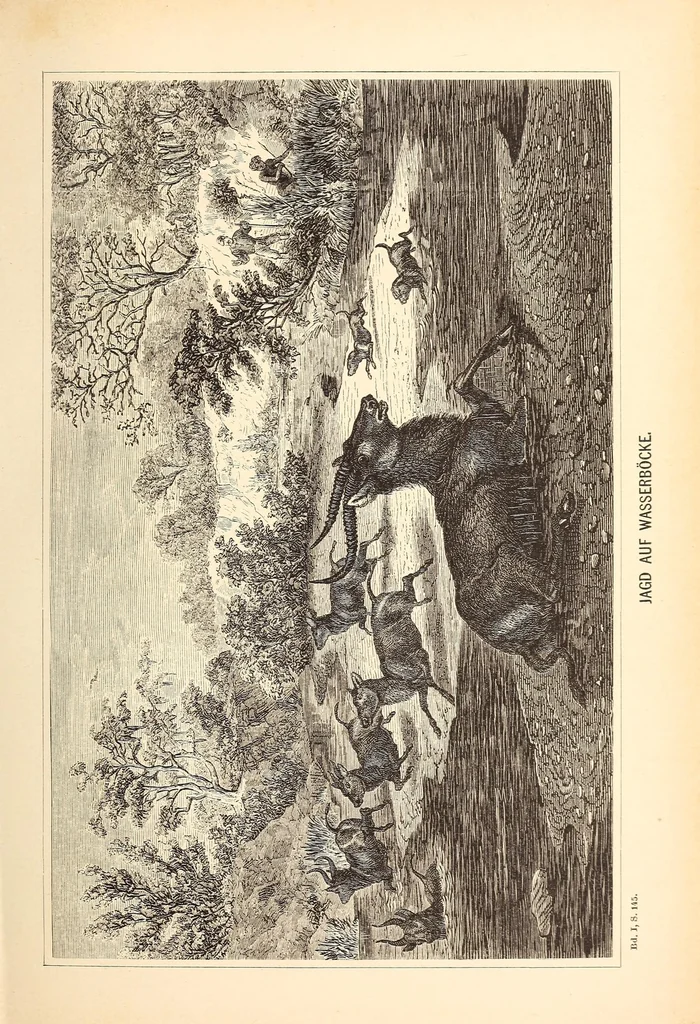 An illustration from Nach den Victoriafällen des Zambesi, 1875, leaf 175