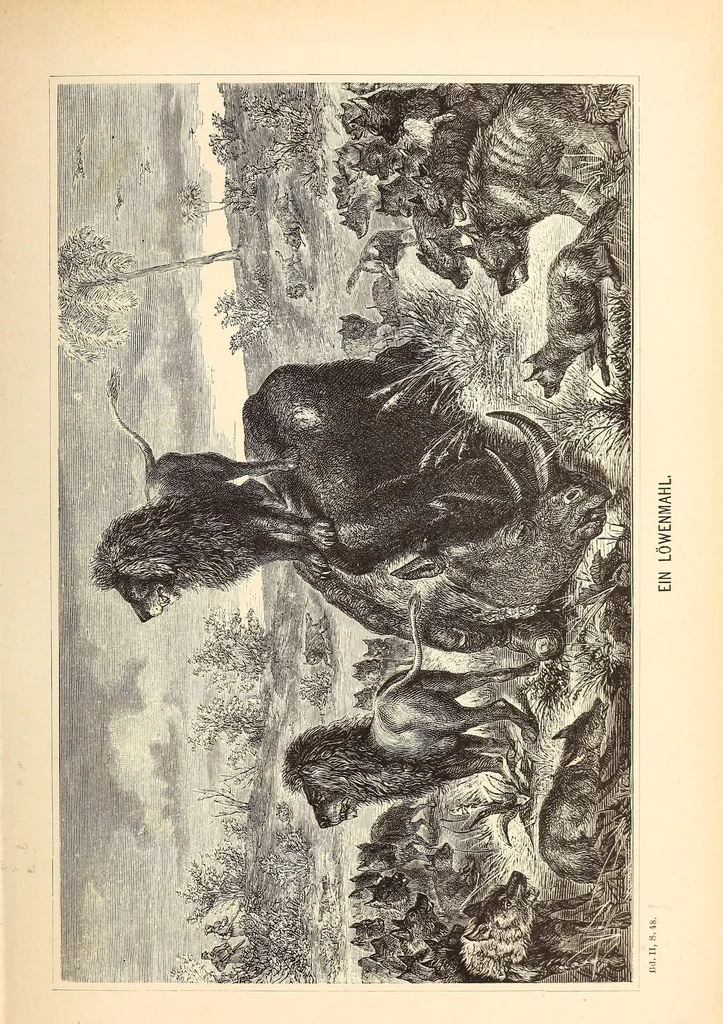 An illustration from Nach den Victoriafällen des Zambesi, 1875, leaf 429