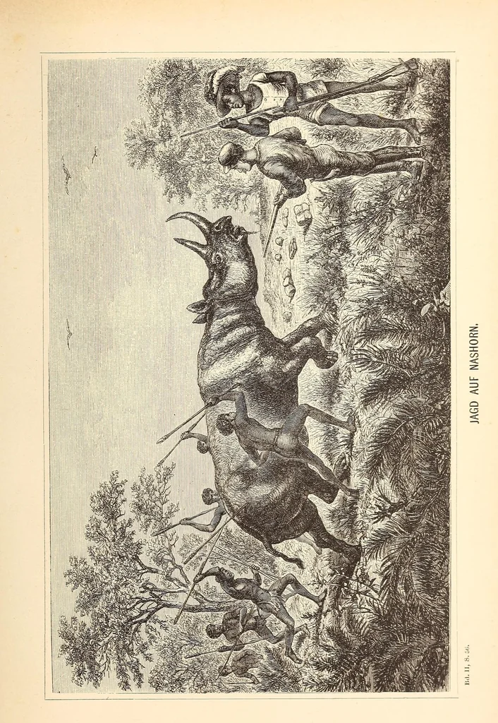 An illustration from Nach den Victoriafällen des Zambesi, 1875, leaf 439