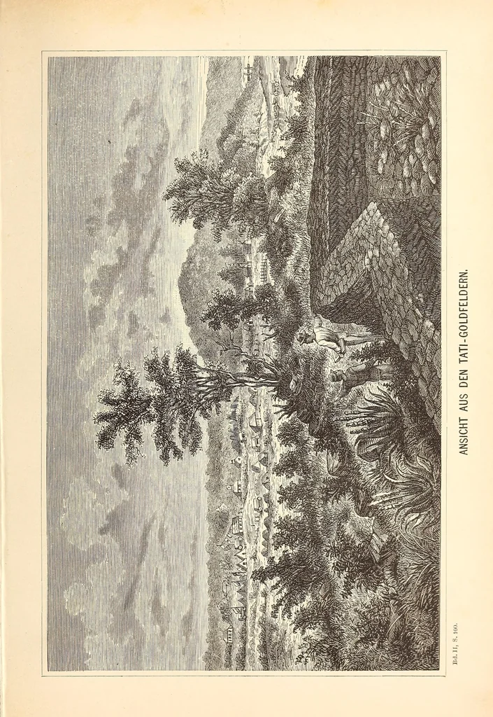 An illustration from Nach den Victoriafällen des Zambesi, 1875, leaf 487
