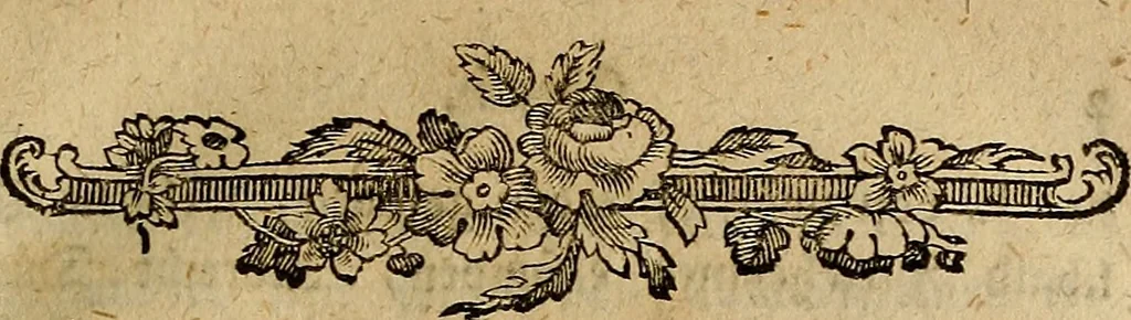 An illustration from Nachrichten von sehenswürdigen Gemälde- und Kupferstichsammlungen : Münz- Gemmen- Kunst und Naturalienkabineten, Sammlungen von Modellen, Maschinen, physikalischen und mathematischen Instrumenten, anatomischen Präparaten und botanischen Gärten in Teutschland nach alphabetischer Ordnung der Städte, 1786, leaf 34