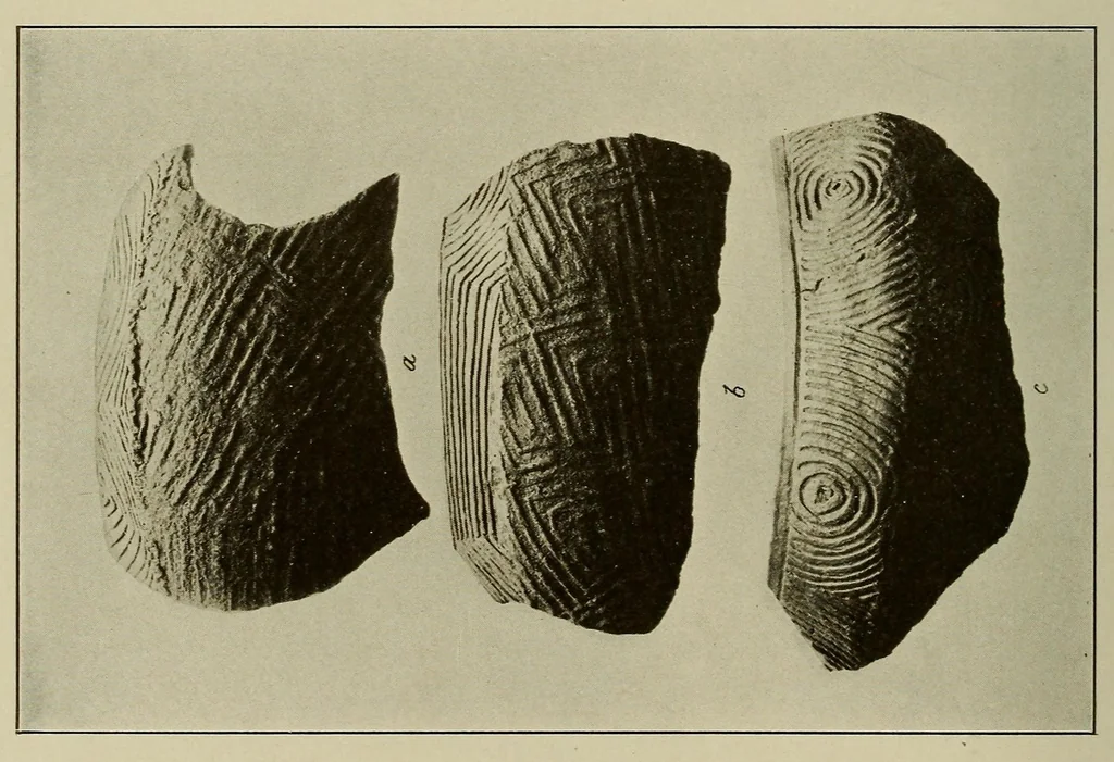 An illustration from The Nacoochee mound in Georgia, 1918, leaf 156