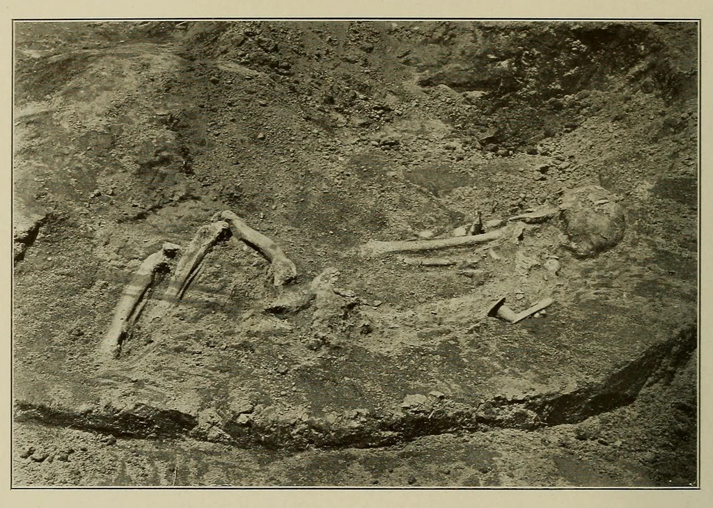 An illustration from The Nacoochee mound in Georgia, 1918, leaf 58