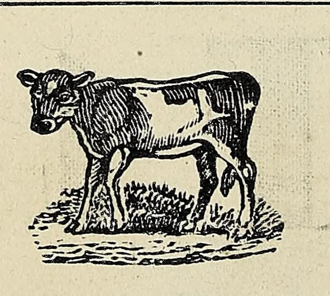 An illustration from Nakcokv es kerretv enhvteceskv. Muskokee or Creek first reader, 1875, leaf 24
