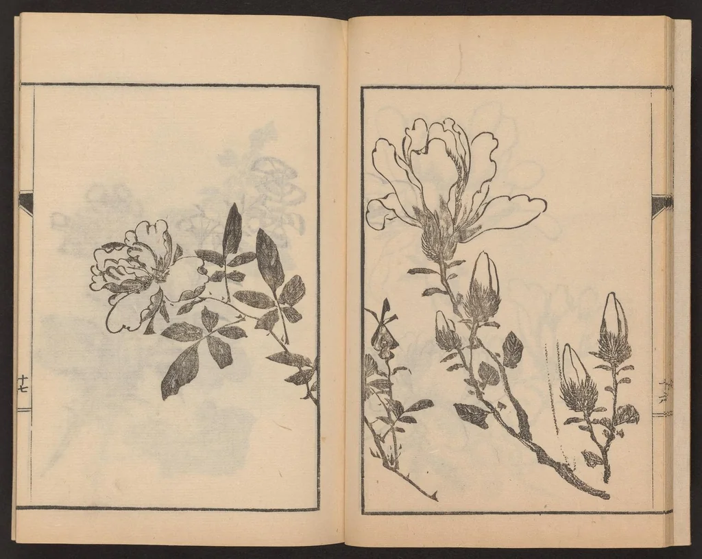 An illustration from Nanga kachō gafu, 1918, leaf 19
