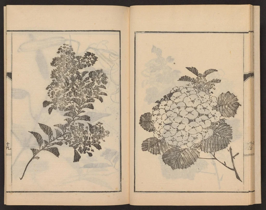 An illustration from Nanga kachō gafu, 1918, leaf 21