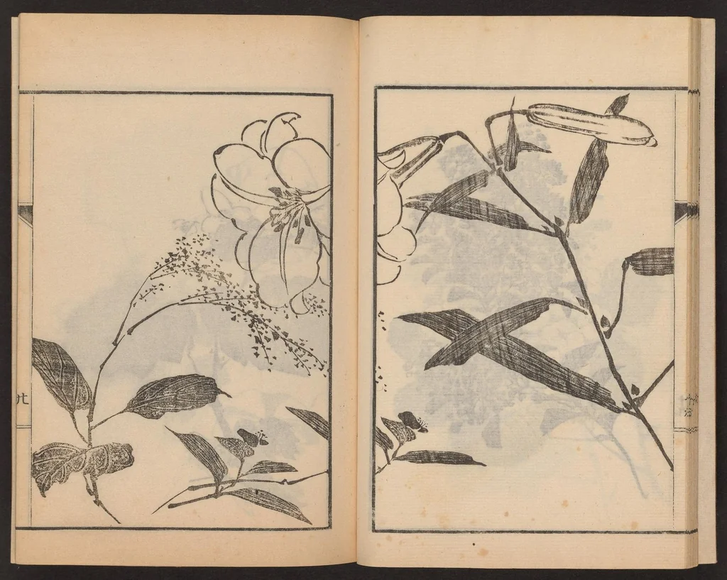 An illustration from Nanga kachō gafu, 1918, leaf 22