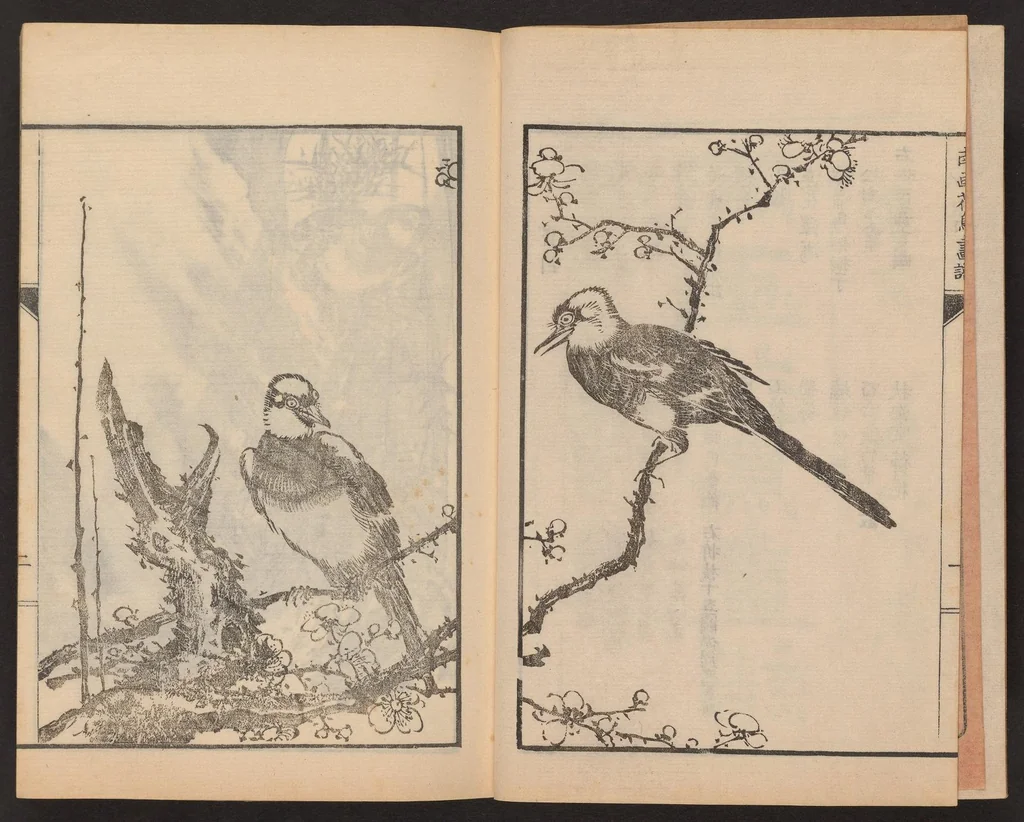 An illustration from Nanga kachō gafu, 1918, leaf 4