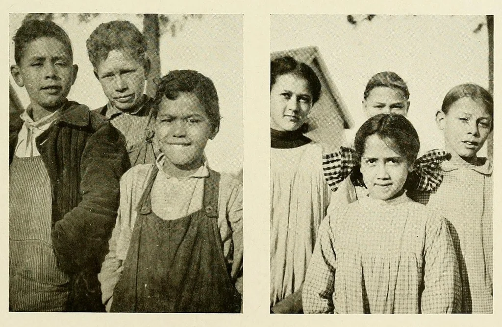 An illustration from The Nanticoke community of Delaware, 1915, leaf 41
