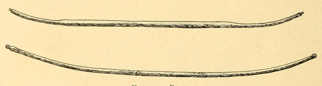 An illustration from The Nanticoke community of Delaware, 1915, leaf 44