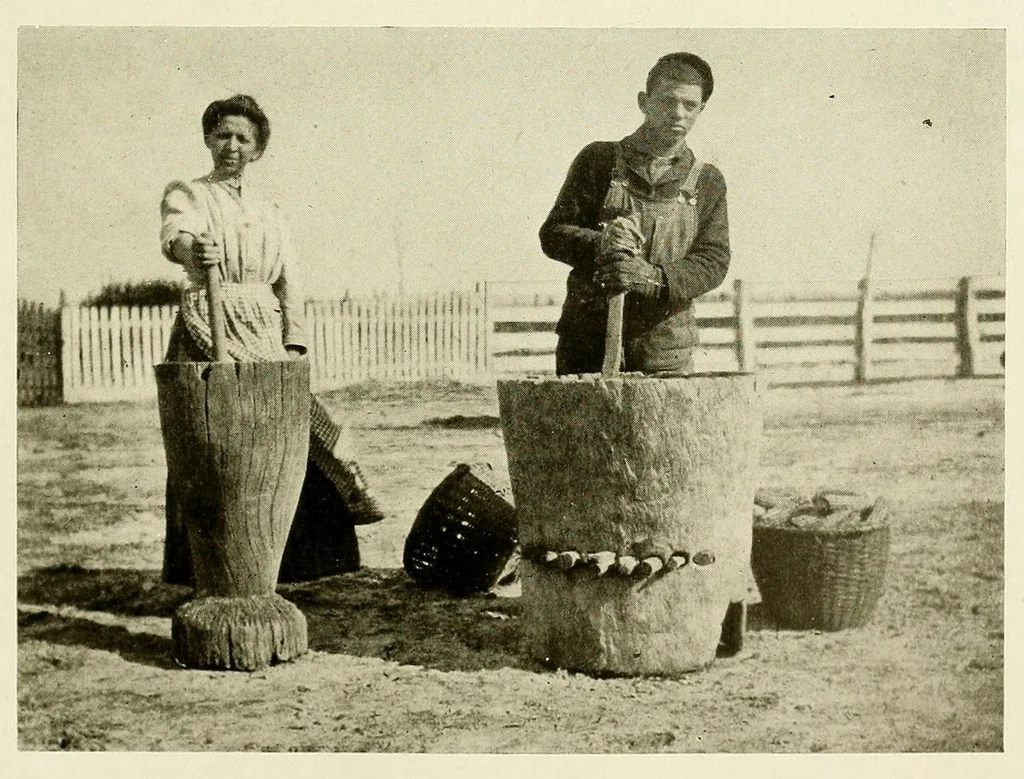 An illustration from The Nanticoke community of Delaware, 1915, leaf 65