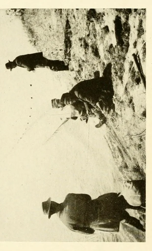 An illustration from The Nanticoke community of Delaware, 1915, leaf 74