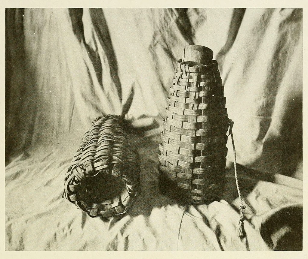 An illustration from The Nanticoke community of Delaware, 1915, leaf 77