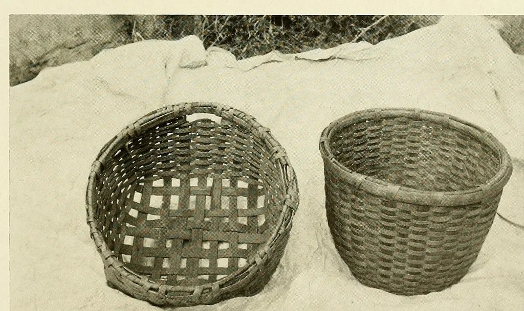 An illustration from The Nanticoke community of Delaware, 1915, leaf 81