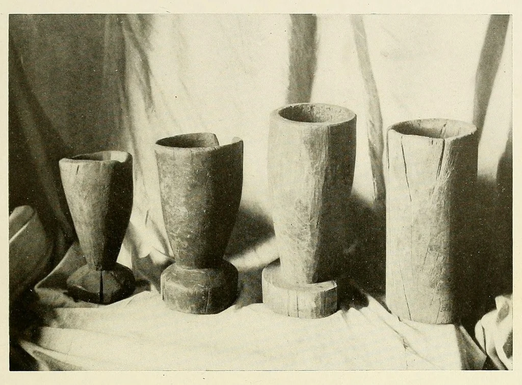 An illustration from The Nanticoke community of Delaware, 1915, leaf 85