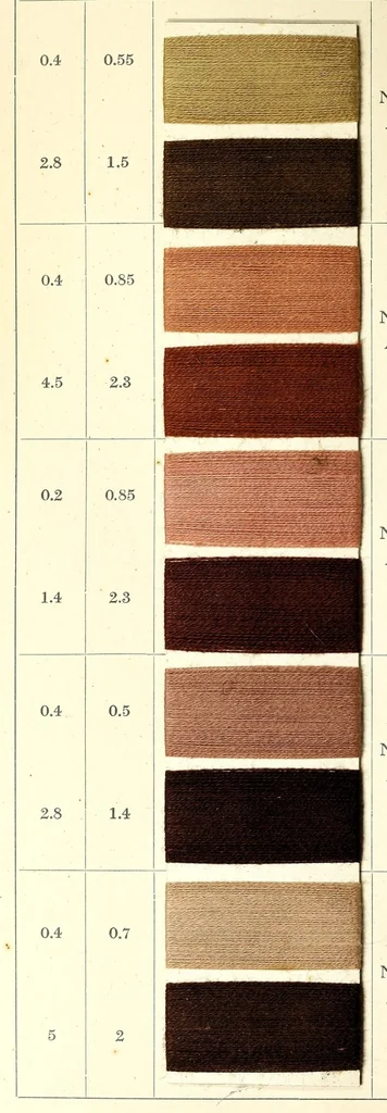 An illustration from Naphtol AS auf Baumwollgarn = Naphtol AS on cotton yarn = Naphtol AS sur filés de coton, 1900, leaf 50