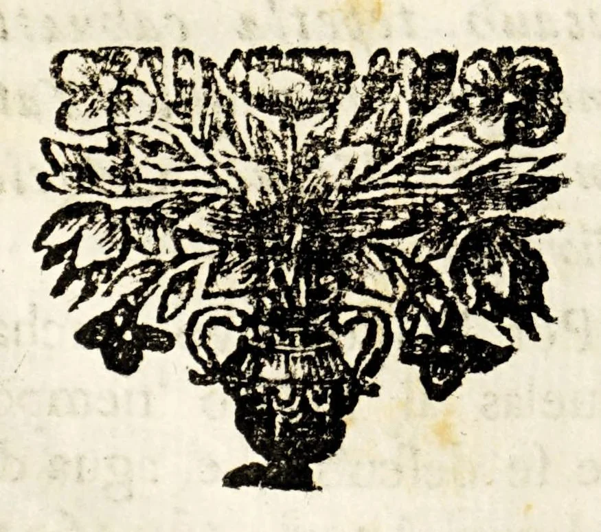 An illustration from Narracion de la maravillosa aparicion, que hizo el arcangel S. Miguela Diego Lazaro de S. Francisco, : indio feligres del pueblo de S. Bernardo, de la jurisdicion de Santa Maria Nativitas. Fundacion del Santuario, que llaman S. Miguel del Milagro; de la fuente milagrosa, que debaxo de vna peña mostrò el principe de los angeles; de los milagros, que ha hecho el agua bendita, y el barro amasado de dicha fuente en los que con fè, y devocion han usado de ellos para remedio de sus males., 1692, leaf 140