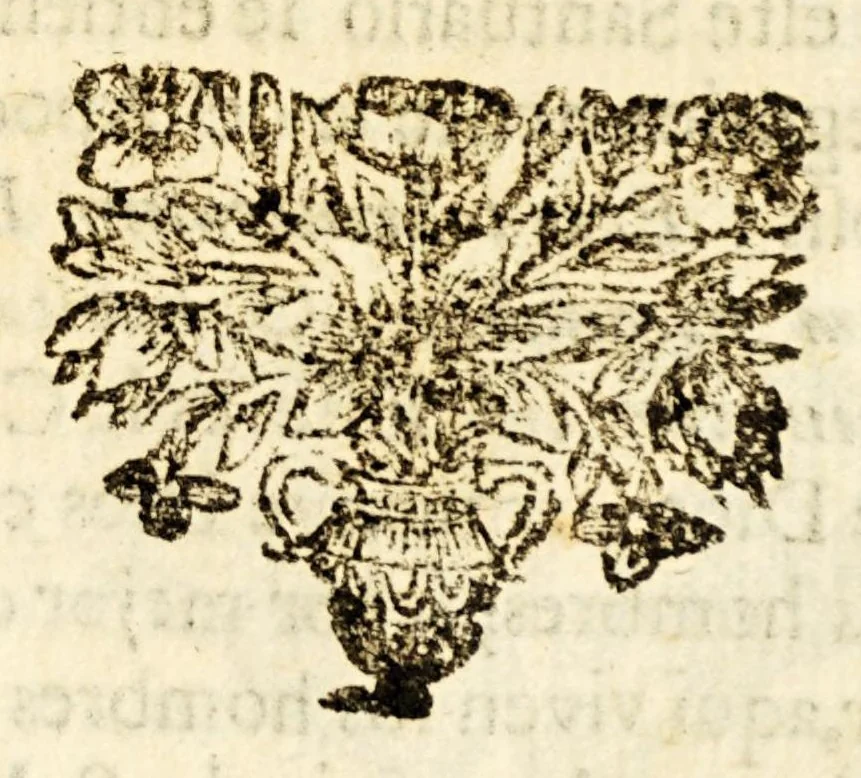 An illustration from Narracion de la maravillosa aparicion, que hizo el arcangel S. Miguela Diego Lazaro de S. Francisco, : indio feligres del pueblo de S. Bernardo, de la jurisdicion de Santa Maria Nativitas. Fundacion del Santuario, que llaman S. Miguel del Milagro; de la fuente milagrosa, que debaxo de vna peña mostrò el principe de los angeles; de los milagros, que ha hecho el agua bendita, y el barro amasado de dicha fuente en los que con fè, y devocion han usado de ellos para remedio de sus males., 1692, leaf 203