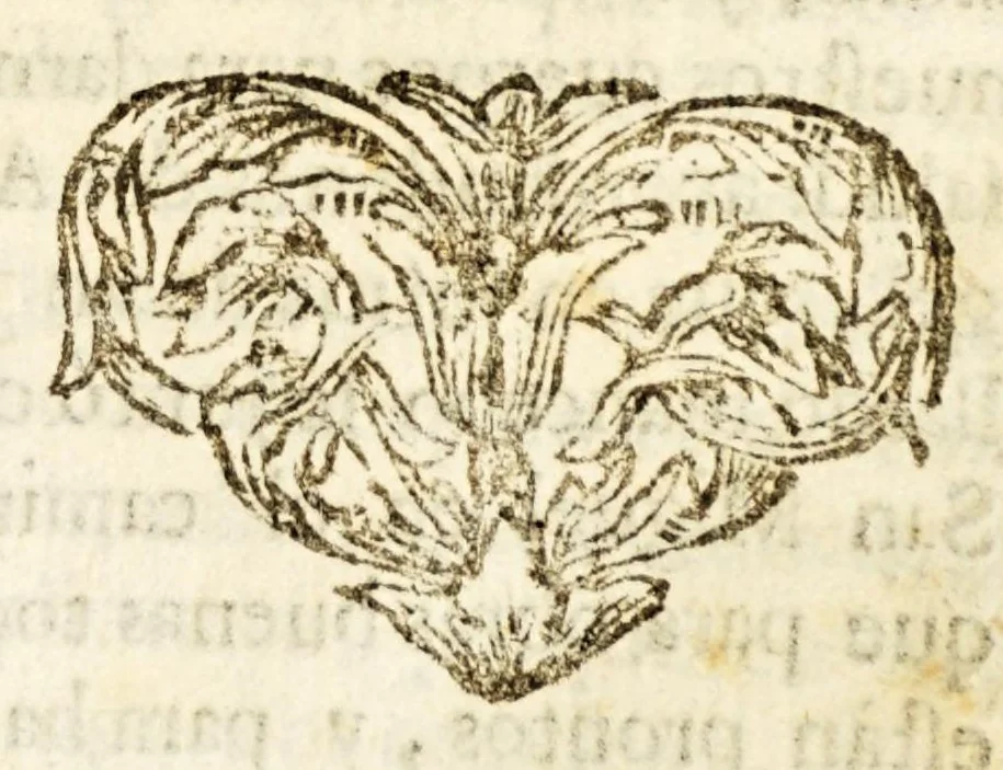An illustration from Narracion de la maravillosa aparicion, que hizo el arcangel S. Miguela Diego Lazaro de S. Francisco, : indio feligres del pueblo de S. Bernardo, de la jurisdicion de Santa Maria Nativitas. Fundacion del Santuario, que llaman S. Miguel del Milagro; de la fuente milagrosa, que debaxo de vna peña mostrò el principe de los angeles; de los milagros, que ha hecho el agua bendita, y el barro amasado de dicha fuente en los que con fè, y devocion han usado de ellos para remedio de sus males., 1692, leaf 205
