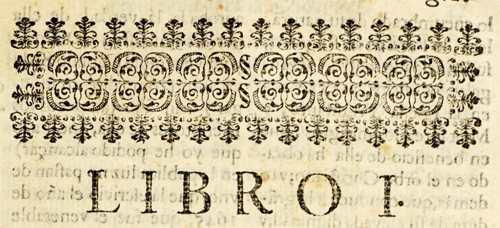 An illustration from Narracion de la maravillosa aparicion, que hizo el arcangel S. Miguela Diego Lazaro de S. Francisco, : indio feligres del pueblo de S. Bernardo, de la jurisdicion de Santa Maria Nativitas. Fundacion del Santuario, que llaman S. Miguel del Milagro; de la fuente milagrosa, que debaxo de vna peña mostrò el principe de los angeles; de los milagros, que ha hecho el agua bendita, y el barro amasado de dicha fuente en los que con fè, y devocion han usado de ellos para remedio de sus males., 1692, leaf 21