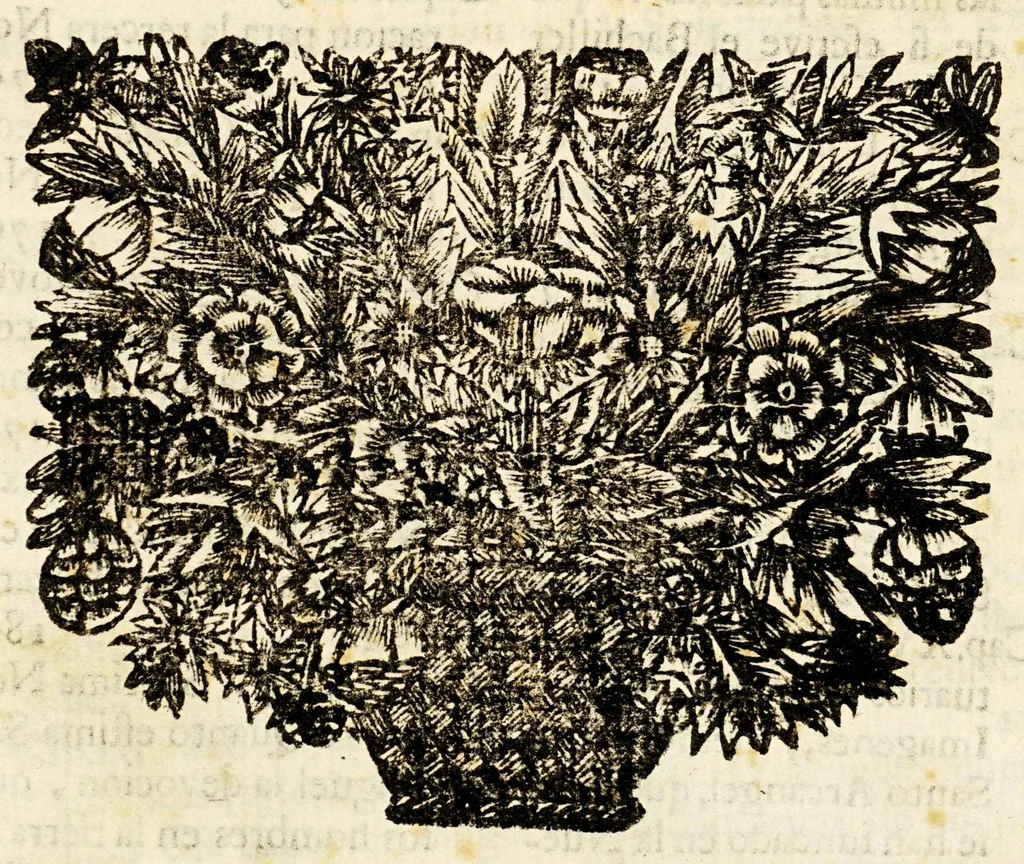 An illustration from Narracion de la maravillosa aparicion, que hizo el arcangel S. Miguela Diego Lazaro de S. Francisco, : indio feligres del pueblo de S. Bernardo, de la jurisdicion de Santa Maria Nativitas. Fundacion del Santuario, que llaman S. Miguel del Milagro; de la fuente milagrosa, que debaxo de vna peña mostrò el principe de los angeles; de los milagros, que ha hecho el agua bendita, y el barro amasado de dicha fuente en los que con fè, y devocion han usado de ellos para remedio de sus males., 1692, leaf 218