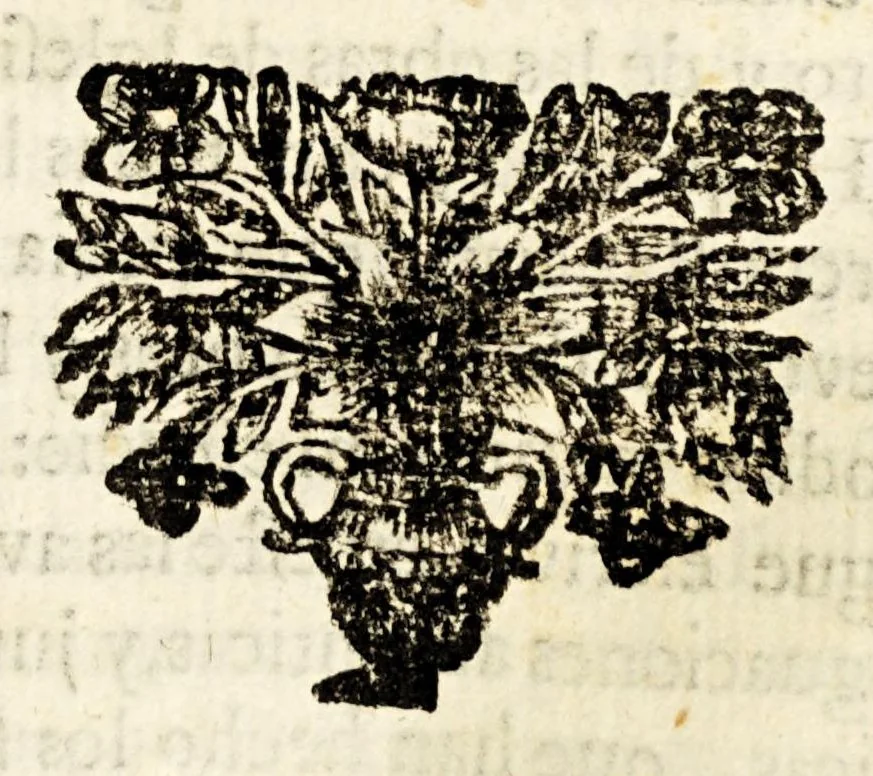 An illustration from Narracion de la maravillosa aparicion, que hizo el arcangel S. Miguela Diego Lazaro de S. Francisco, : indio feligres del pueblo de S. Bernardo, de la jurisdicion de Santa Maria Nativitas. Fundacion del Santuario, que llaman S. Miguel del Milagro; de la fuente milagrosa, que debaxo de vna peña mostrò el principe de los angeles; de los milagros, que ha hecho el agua bendita, y el barro amasado de dicha fuente en los que con fè, y devocion han usado de ellos para remedio de sus males., 1692, leaf 91