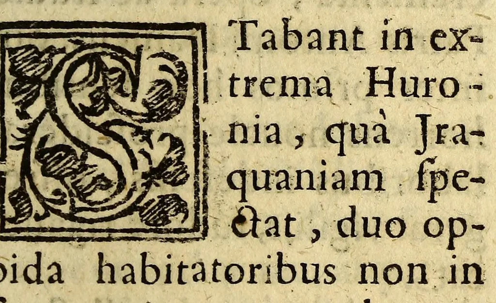 An illustration from Narratio historica eorum, quæ Societas Iesu in Noua Francia fortiter egit, & passa est, annis M.DC.XLIIX. & XLIX., 1650, leaf 41