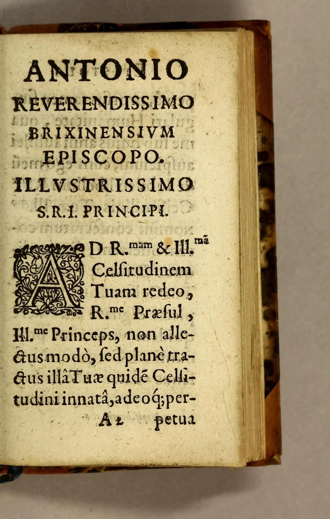 An illustration from Narratio historica eorum, quæ Societas Iesu in Noua Francia fortiter egit, & passa est, annis M.DC.XLIIX. & XLIX., 1650, leaf 9
