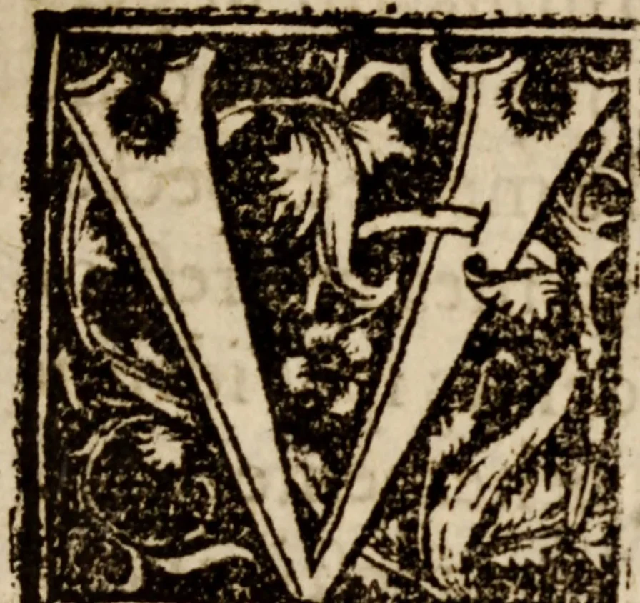 An illustration from Narratio historica vicissitvdinis rervm quae in inclyto Brittaniae Regno acciderunt, Anno Domini 1553, 1558, leaf 40