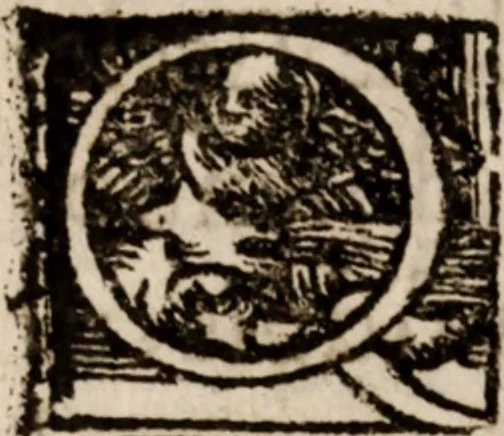 An illustration from Narratio historica vicissitvdinis rervm quae in inclyto Brittaniae Regno acciderunt, Anno Domini 1553, 1558, leaf 45