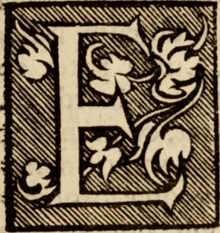 An illustration from Narratio historica vicissitvdinis rervm quae in inclyto Brittaniae Regno acciderunt, Anno Domini 1553, 1558, leaf 6