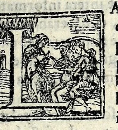An illustration from Narratione de' svccessi intorno alla miracolosa imagine della gloriosissima Vergine : scopertasi nella città di Lucca l'anno 1588 : mandata da monsig. reverendissimo di Lucca all'illustrissimo signor cardinale Castrucci, 1588, leaf 11