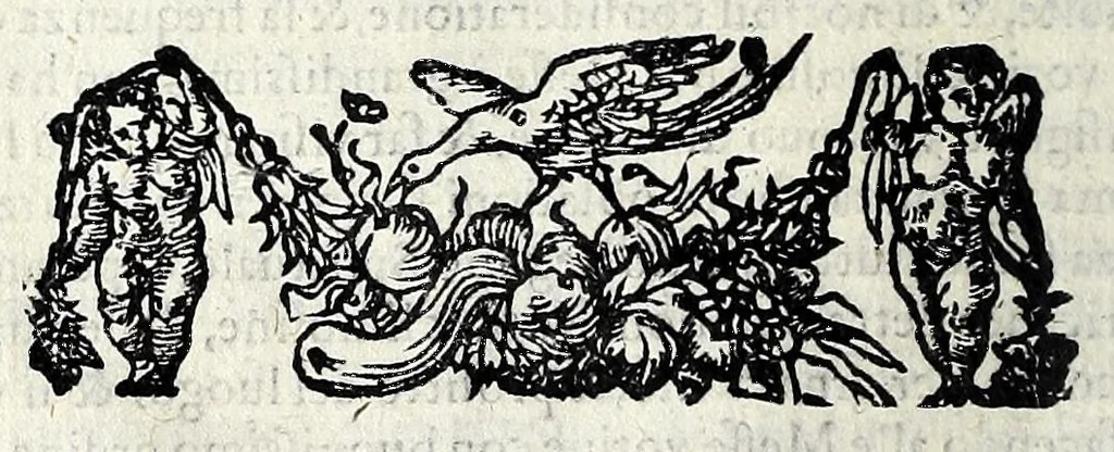 An illustration from Narratione de' svccessi intorno alla miracolosa imagine della gloriosissima Vergine : scopertasi nella città di Lucca l'anno 1588 : mandata da monsig. reverendissimo di Lucca all'illustrissimo signor cardinale Castrucci, 1588, leaf 30