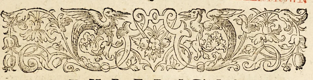 An illustration from Narrationes duæ admodum memorabiles, : quarum prima continet diarium expeditionis Francisci Draki equitis Angli in Indias Occidentales suscepæ, anno MDLXXXV. Altera omnium rerum ab eodem Drako et Norreysio in Lusitanica irruptione gestarum fidelem continuationem subjicit, 1590, leaf 13