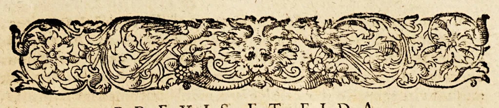 An illustration from Narrationes duæ admodum memorabiles, : quarum prima continet diarium expeditionis Francisci Draki equitis Angli in Indias Occidentales suscepæ, anno MDLXXXV. Altera omnium rerum ab eodem Drako et Norreysio in Lusitanica irruptione gestarum fidelem continuationem subjicit, 1590, leaf 31